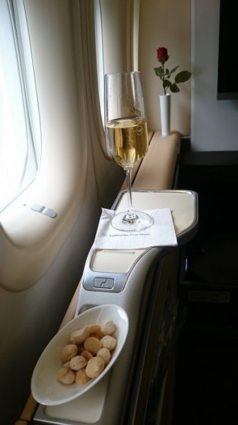 DSC_2208.JPG DSC_2208.JPG