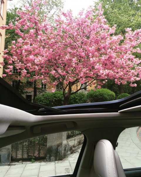 image.jpeg image.jpeg