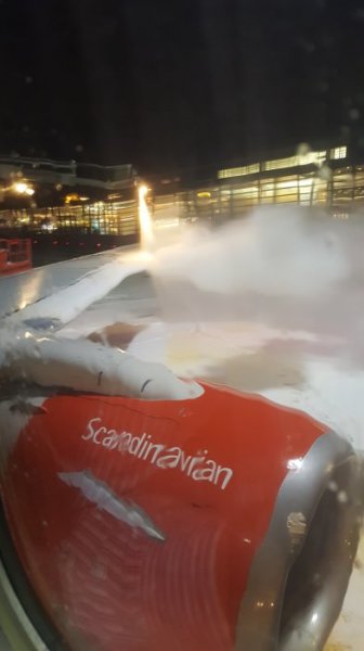 2017-01-04 07.02.53.jpg