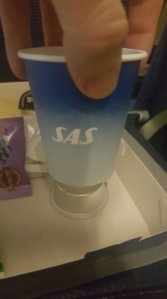 2017-01-04 07.35.45.jpg