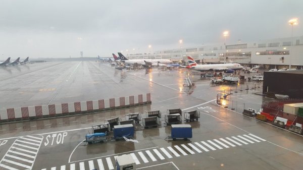 2017-01-04 09.21.09.jpg