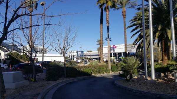 2017-01-05 14.55.20.jpg