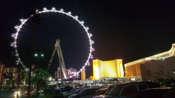 2017-01-06 19.51.19.jpg