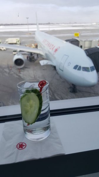 2017-01-08 13.29.02.jpg 2017-01-08 13.29.02.jpg