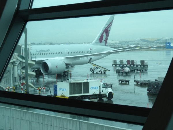 DSC01383.jpg DSC01383.jpg