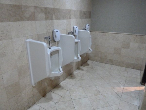 P1000826.jpg P1000826.jpg