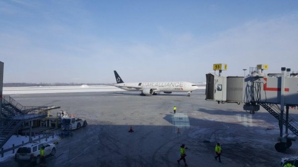 2017-01-08 12.23.03.jpg 2017-01-08 12.23.03.jpg