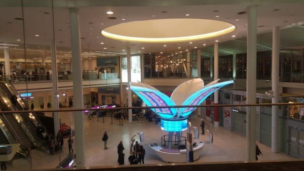 2017-01-08 17.55.58.jpg