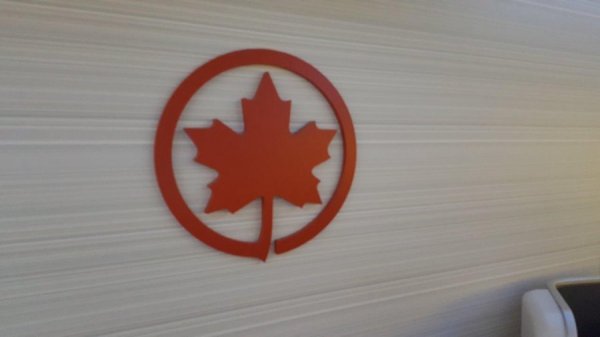 2017-01-08 20.25.03.jpg