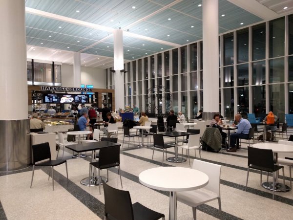 IMG_20170119_062616.jpg IMG_20170119_062616.jpg