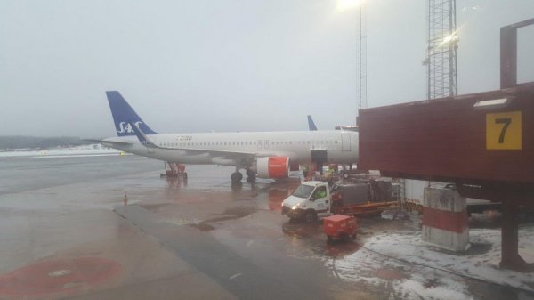 2017-01-09 15.10.36.jpg