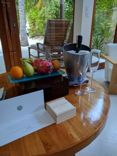 IMG_20170203_172249.jpg IMG_20170203_172249.jpg