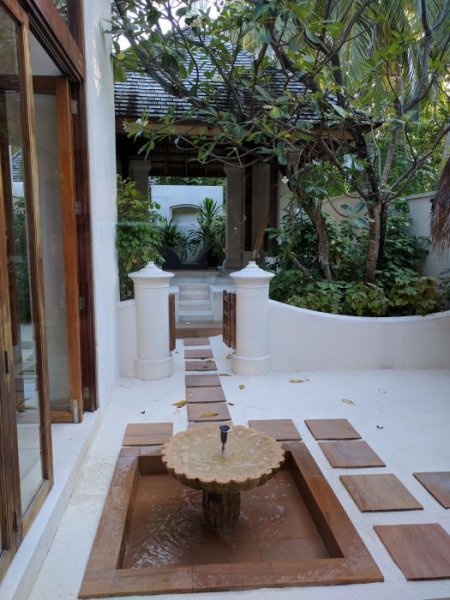 IMG_20170203_172308.jpg IMG_20170203_172308.jpg