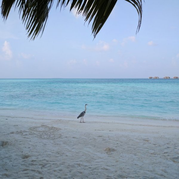 IMG_20170204_182502_771.jpg IMG_20170204_182502_771.jpg