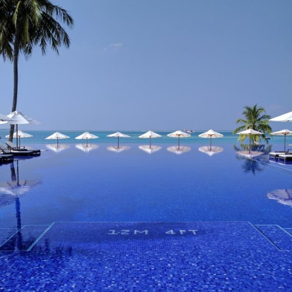 IMG_20170204_153118_516.jpg IMG_20170204_153118_516.jpg