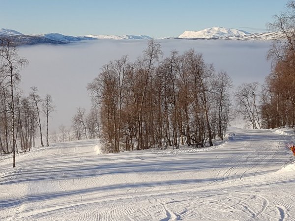 20170215_115826.jpg 20170215_115826.jpg