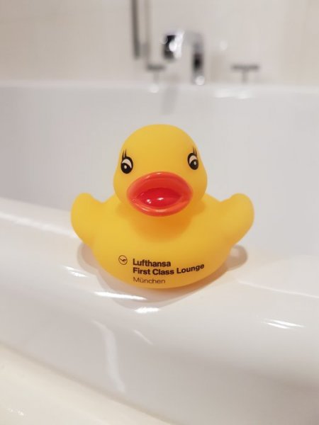 20170309_193922.jpg 20170309_193922.jpg