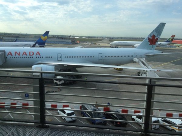 IMG_1007.JPG IMG_1007.JPG