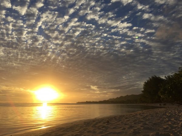 IMG_1745.JPG IMG_1745.JPG