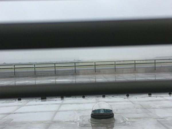 IMG_1886.JPG IMG_1886.JPG