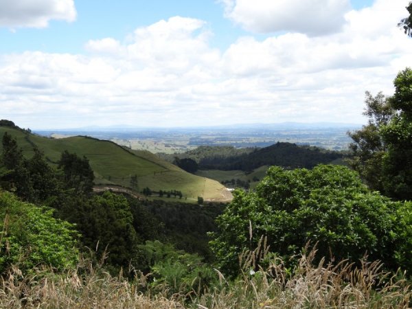 7AE91B44-BCEF-496A-8B54-1ED44D1361F9.jpeg 7AE91B44-BCEF-496A-8B54-1ED44D1361F9.jpeg