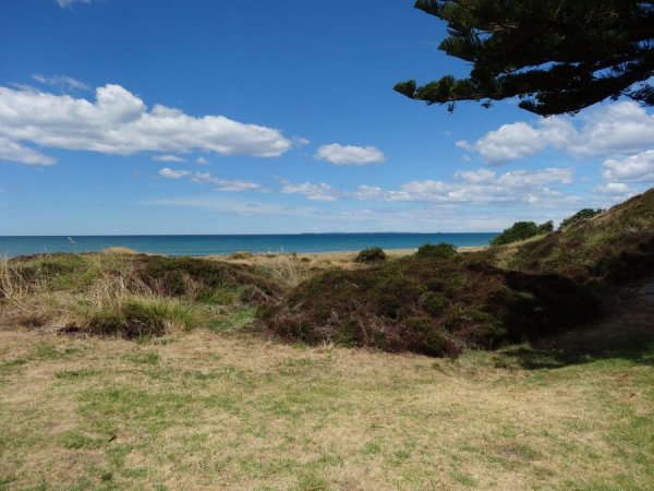 C9D0DF6F-1B4C-4115-885A-D6512FA4870D.jpeg C9D0DF6F-1B4C-4115-885A-D6512FA4870D.jpeg