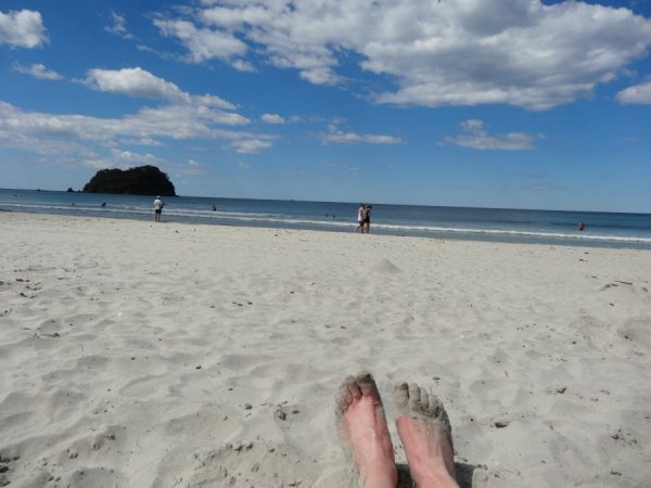 B3EF0533-A016-46C5-B50E-60AB3DDD21B9.jpeg B3EF0533-A016-46C5-B50E-60AB3DDD21B9.jpeg