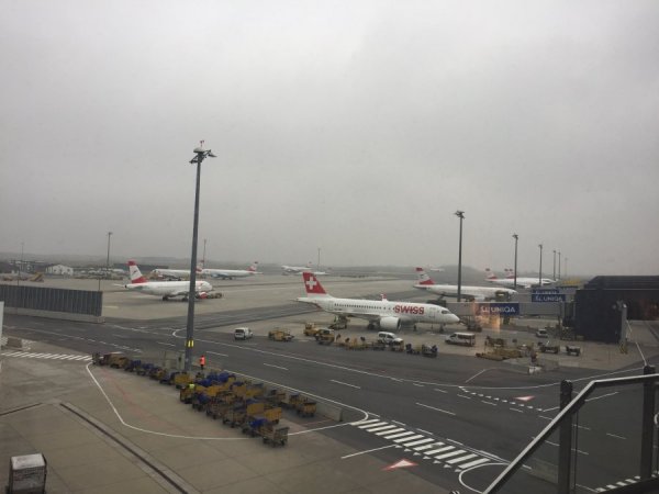 EFC1260F-D1BC-431D-B8D4-CF9245FD49F4.jpeg EFC1260F-D1BC-431D-B8D4-CF9245FD49F4.jpeg