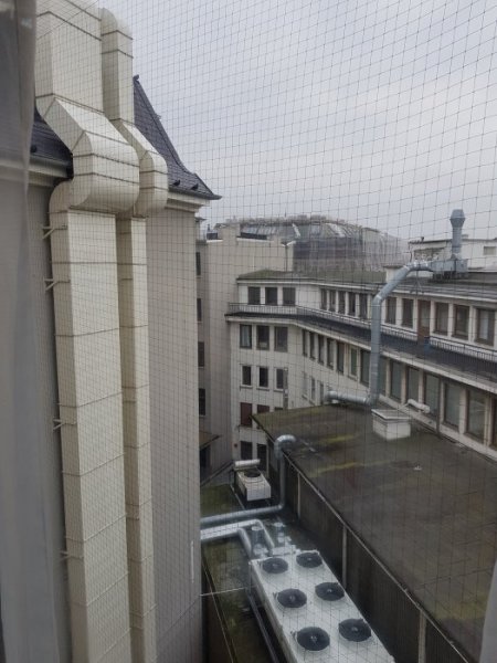 20180210_150411.jpg 20180210_150411.jpg