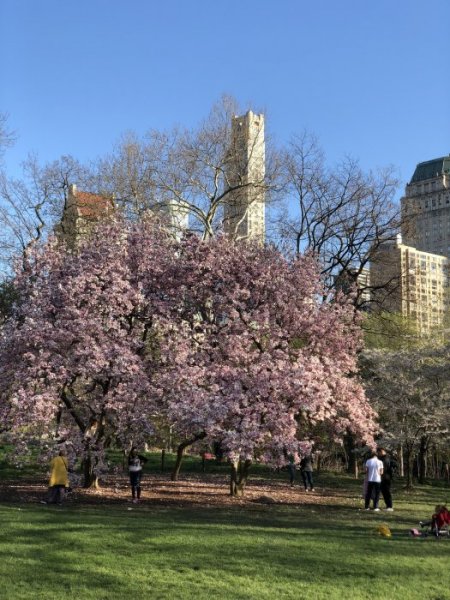 IMG_20180426_175756.JPG IMG_20180426_175756.JPG