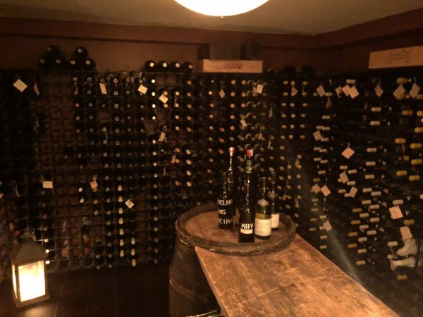 SVAvin.JPG SVAvin.JPG