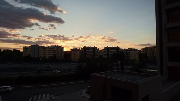 DSC_4217.JPG DSC_4217.JPG