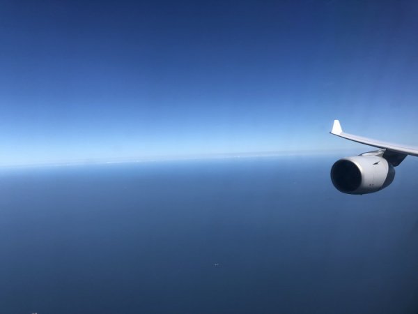 IMG_0869.jpg IMG_0869.jpg