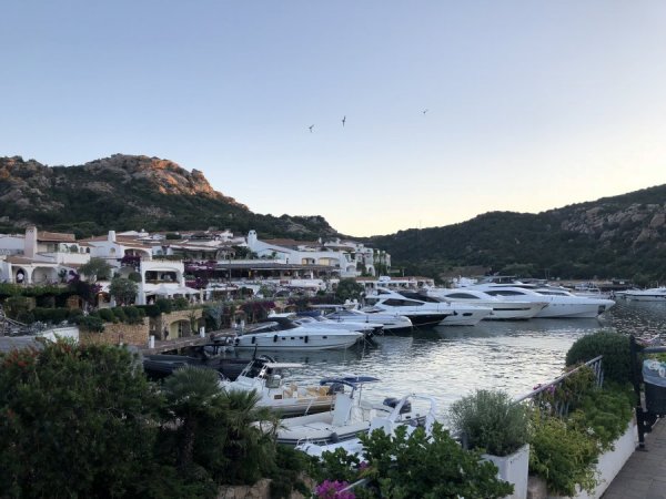 7A394630-744D-4026-BA66-7B4968359873.jpeg 7A394630-744D-4026-BA66-7B4968359873.jpeg