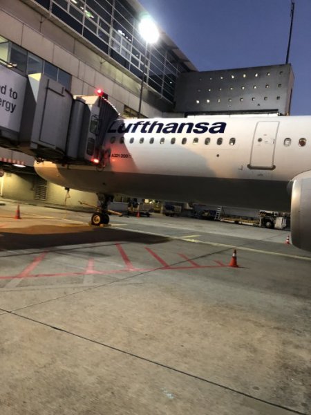 D3383327-CF3F-4AB8-A5E2-B0FADF7D4F4C.jpeg D3383327-CF3F-4AB8-A5E2-B0FADF7D4F4C.jpeg