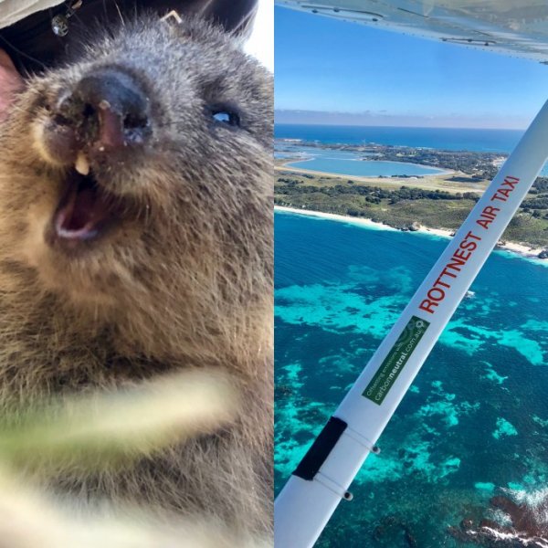 7615D247-EF74-47FA-B7F4-E70B4DA977D6.jpeg 7615D247-EF74-47FA-B7F4-E70B4DA977D6.jpeg