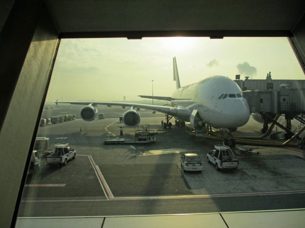 IMG_2265.JPG IMG_2265.JPG