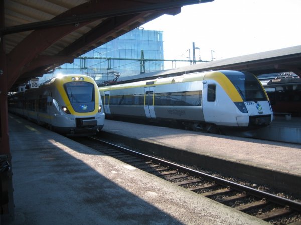 IMG_3485.jpg IMG_3485.jpg