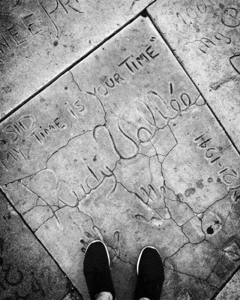 IMG_6333.JPG IMG_6333.JPG