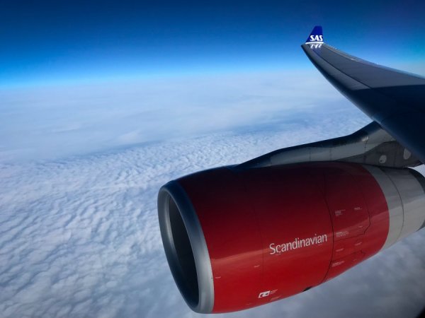 60A0111E-CEBD-48E4-995A-D1C87FEF1768.jpeg 60A0111E-CEBD-48E4-995A-D1C87FEF1768.jpeg