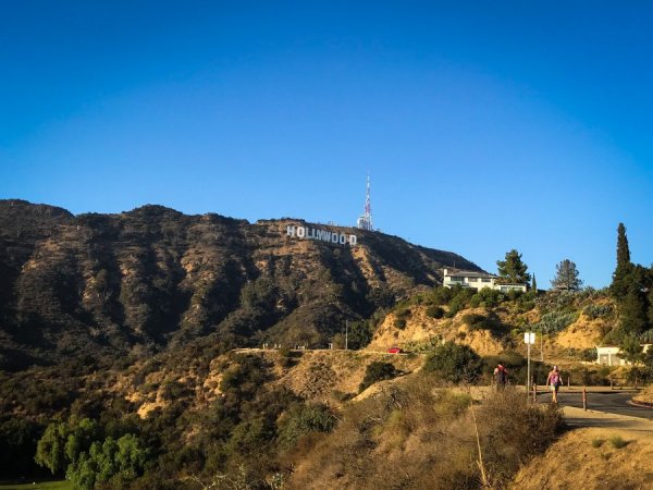 ED5790E4-E858-49B9-8350-A1C0501F329C.jpeg ED5790E4-E858-49B9-8350-A1C0501F329C.jpeg