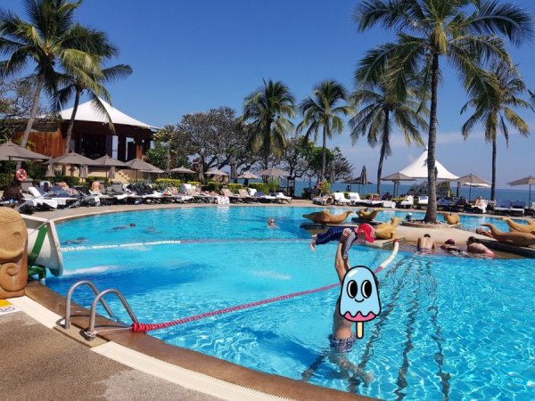 thumbnail_20181216_222943.jpg thumbnail_20181216_222943.jpg