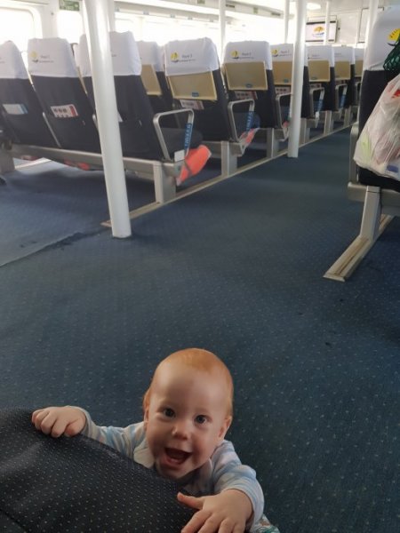 20181130_130215.jpg 20181130_130215.jpg