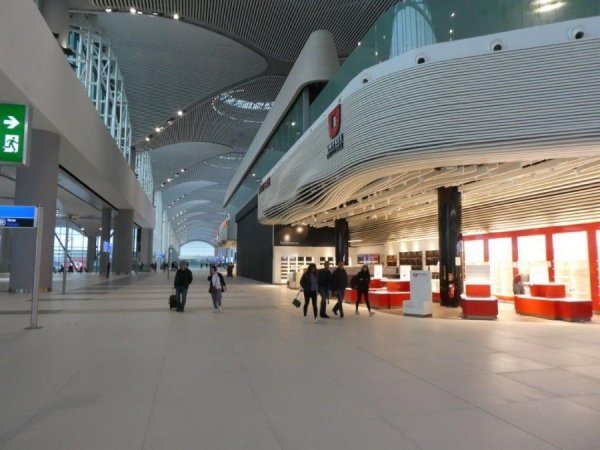 P1020471.jpg P1020471.jpg