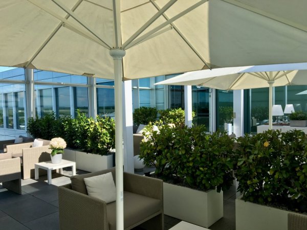 IMG_8957.JPG IMG_8957.JPG