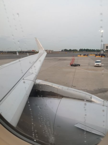 20190710_054312.jpg 20190710_054312.jpg