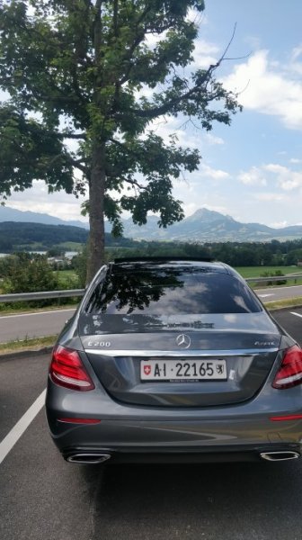 IMG_20190712_110855.jpg IMG_20190712_110855.jpg