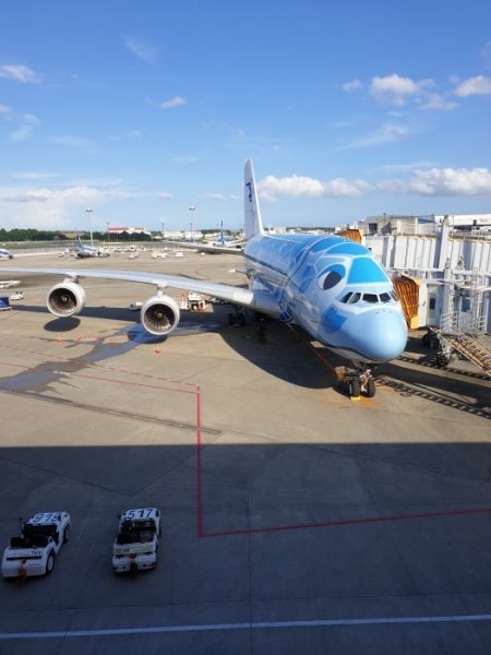 20190727_161833.jpg 20190727_161833.jpg