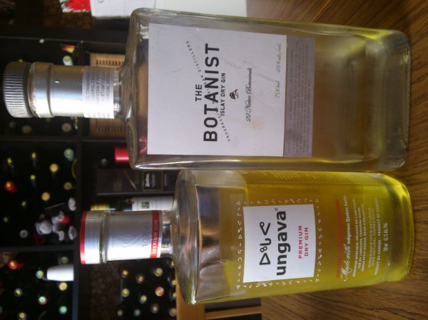 Gin.jpg Gin.jpg