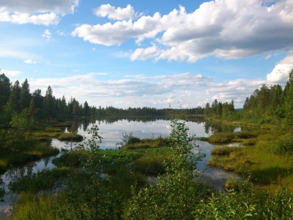 DSC_7214_red.jpg DSC_7214_red.jpg